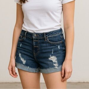 Black Daisy Stylish Distressed Denim Shorts